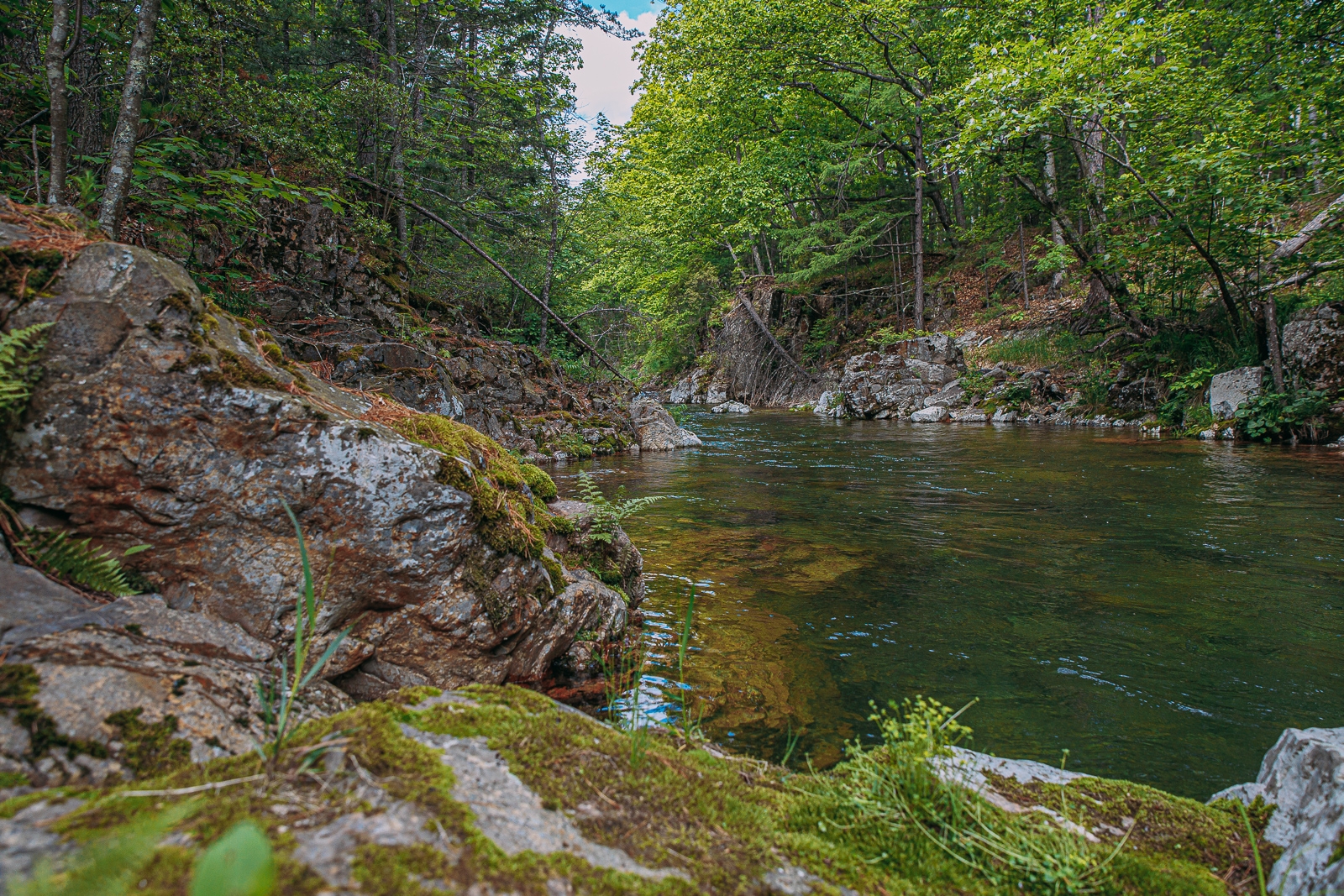 Тематическое фото Мария Смитюк, ИА PrimaMedia