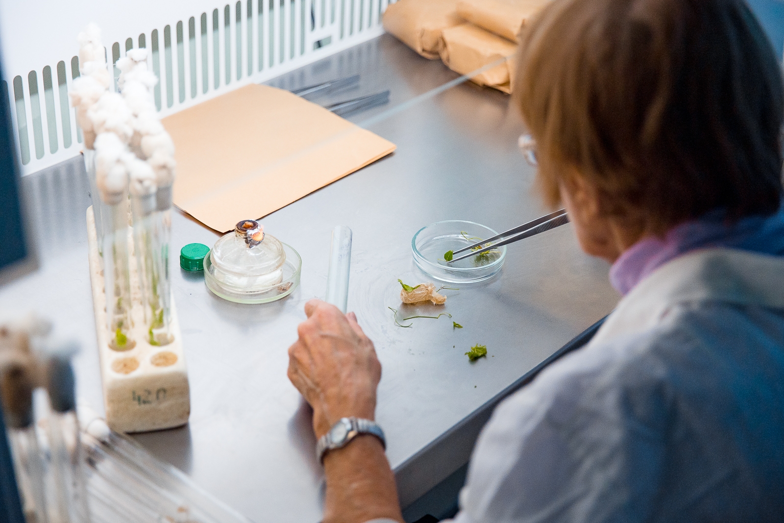 Тематическое фото Илья Аверьянов, ИА PrimaMedia