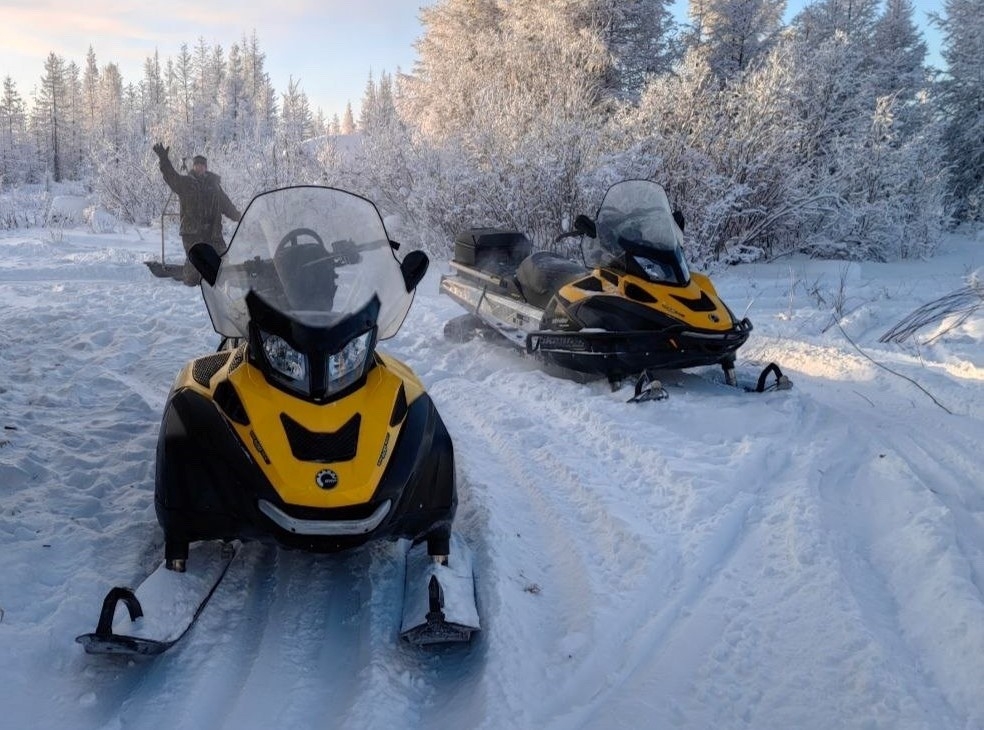 На Колыме завершился зимний учет численности охотничьих животных и птиц Источник