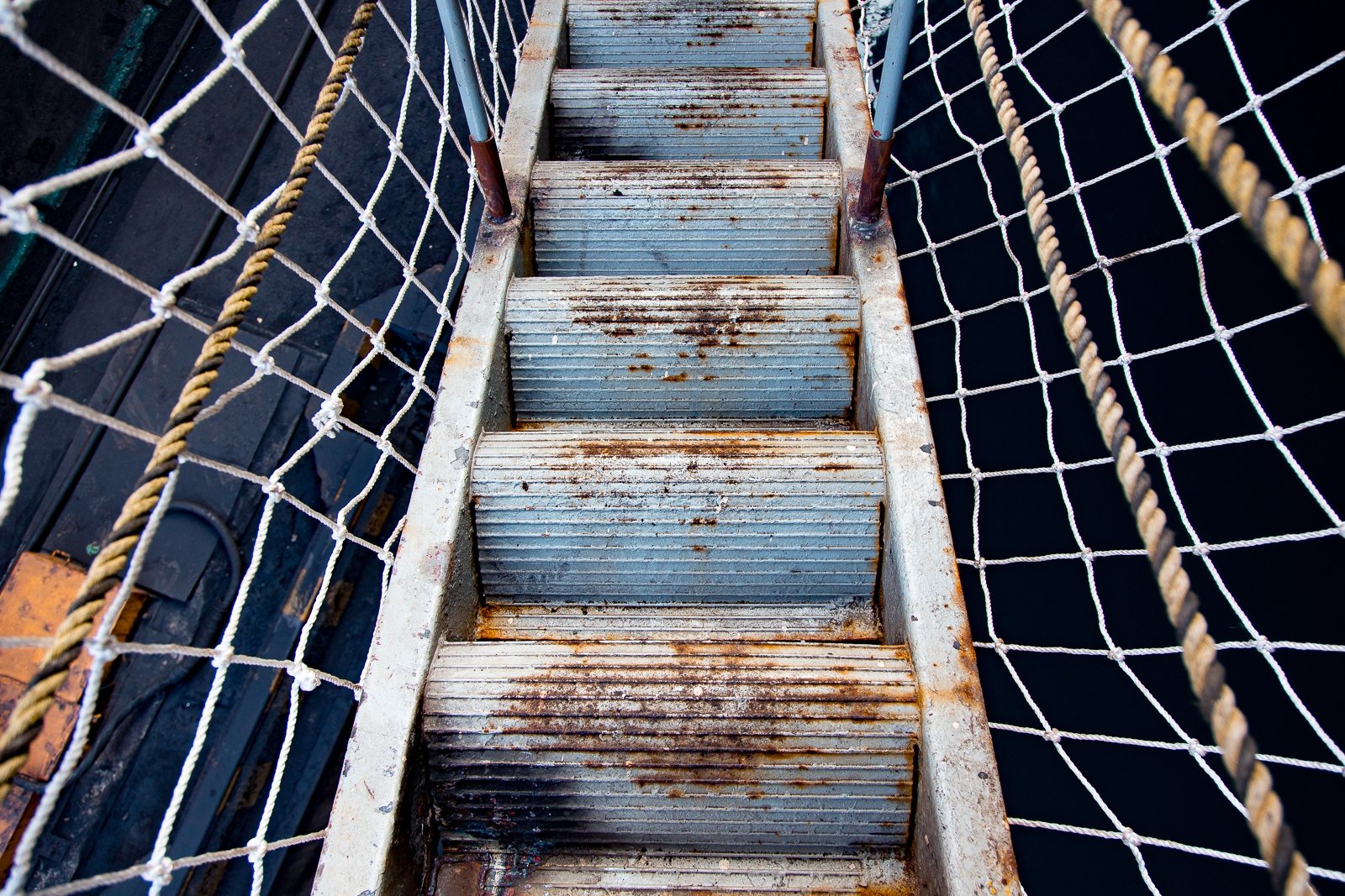 Тематическое фото Илья Аверьянов, ИА PrimaMedia.ru