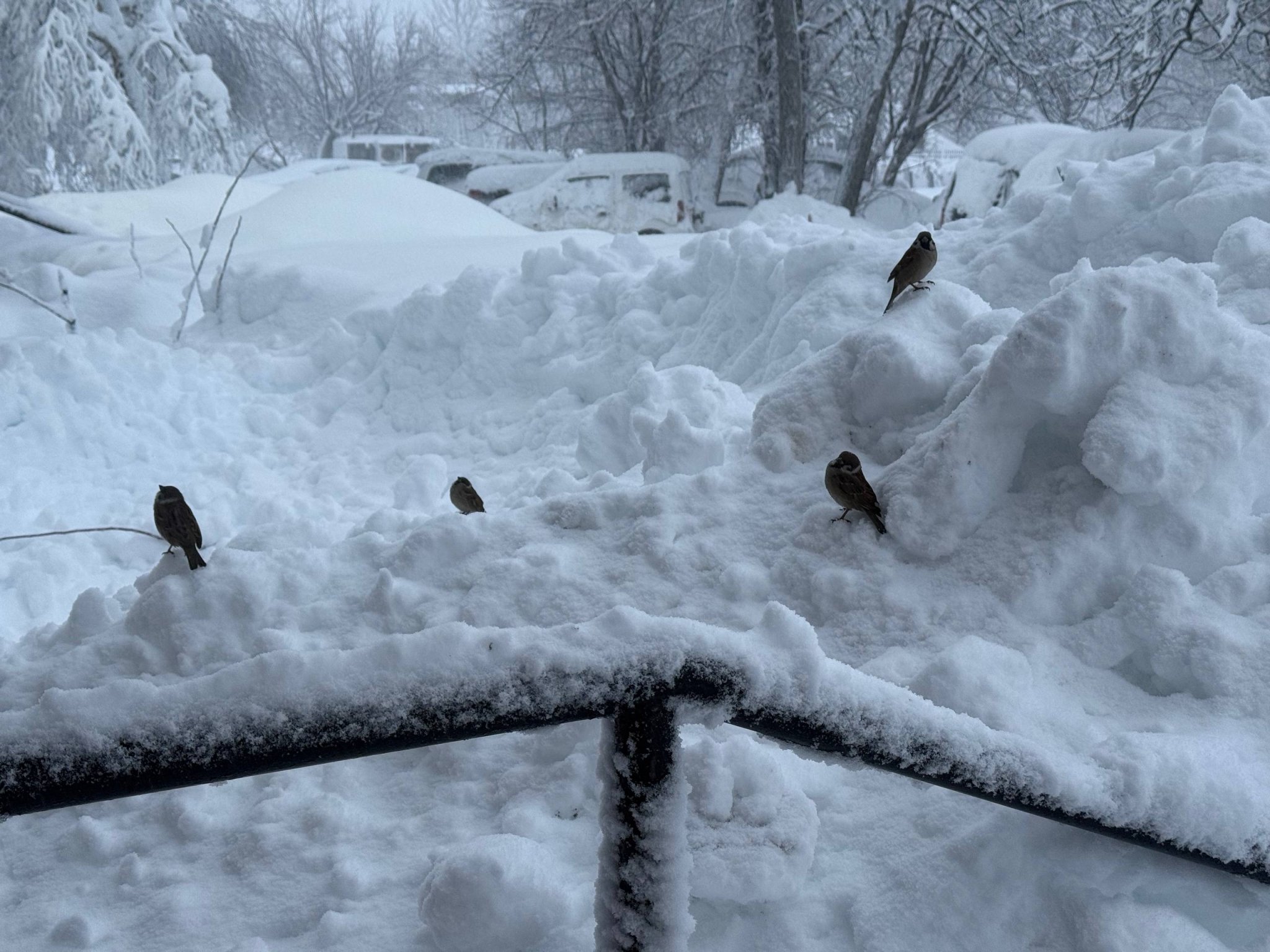 Архивное фото Ольга Семёнова,  ИА KamchatkaMedia
