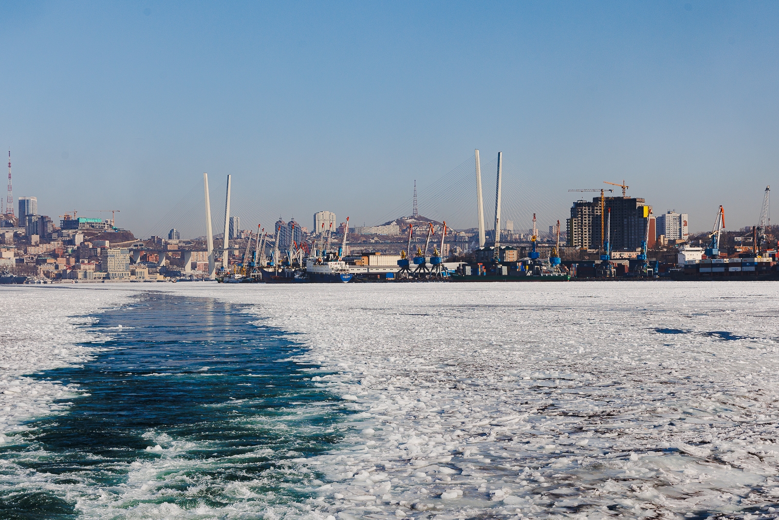 Тематическая иллюстрация Евгений Кулешов, ИА PrimaMedia