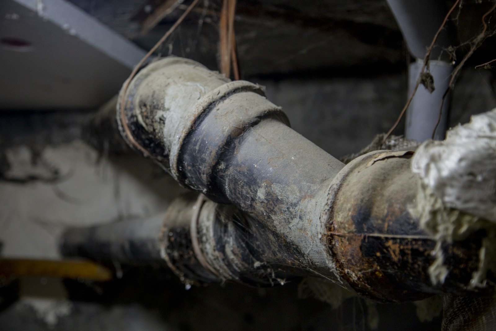 Тематическое фото Артём Хорошилов  , ИА Stavropol.Media