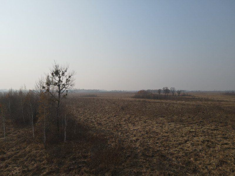 Тематическое фото Россельхознадзор