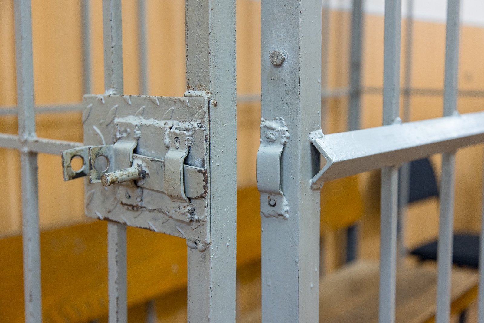 Опекунша, которая морила голодом и обливала мочой детей, села на восемь лет Илья Аверьянов, ИА PrimaMedia.ru