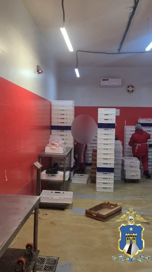 16 дел о нарушении миграционного закона возбудили за 2 недели на Ставрополье Полиция Ставрополья