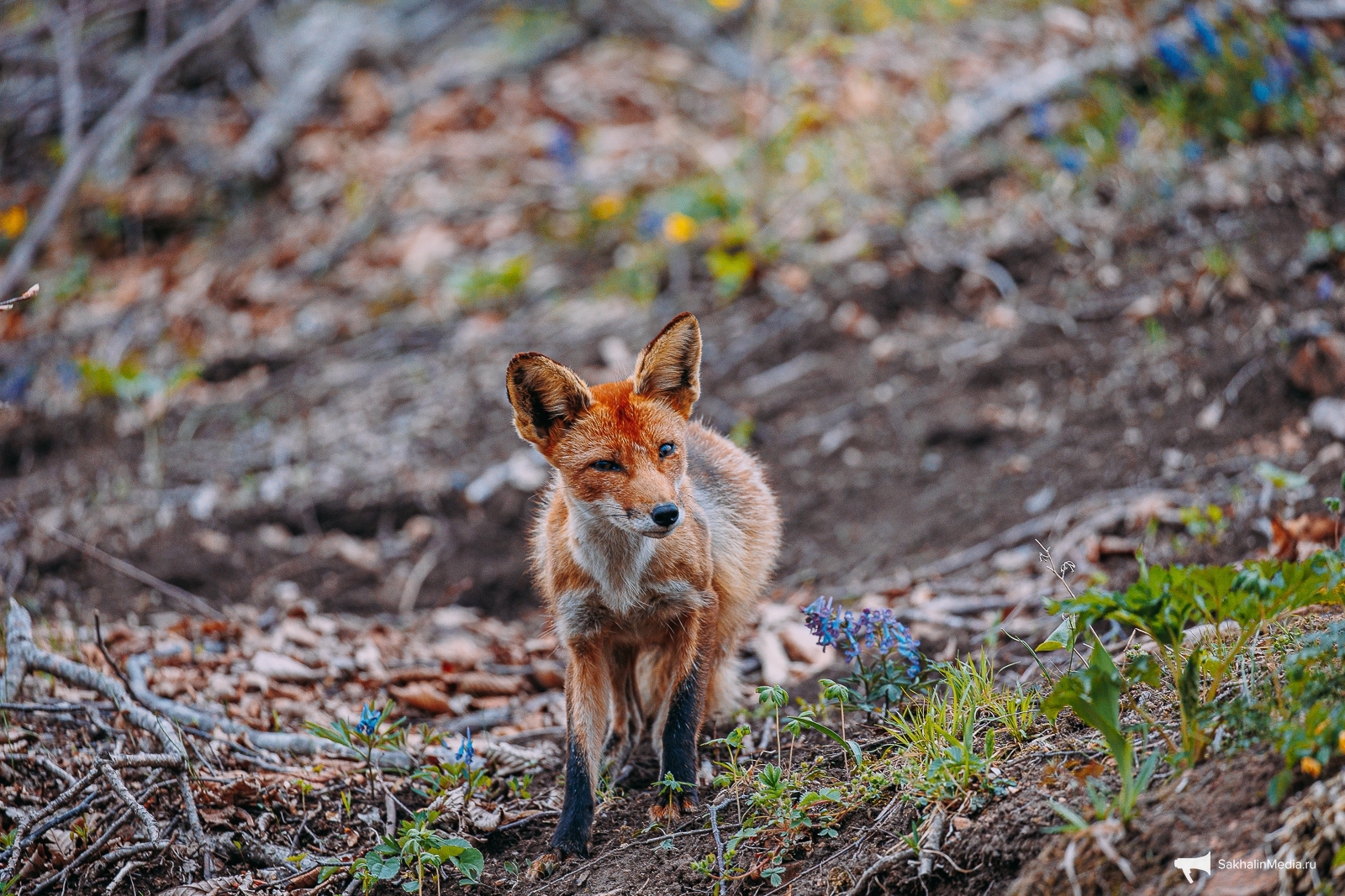 Тематическое фото Мария Смитюк, ИА PrimaMedia