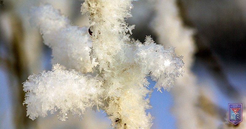 Тематическое фото ПСЦ Магаданской области