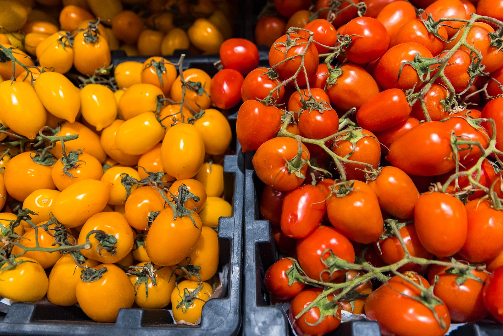 Тематическое фото Илья Аверьянов, ИА PrimaMedia