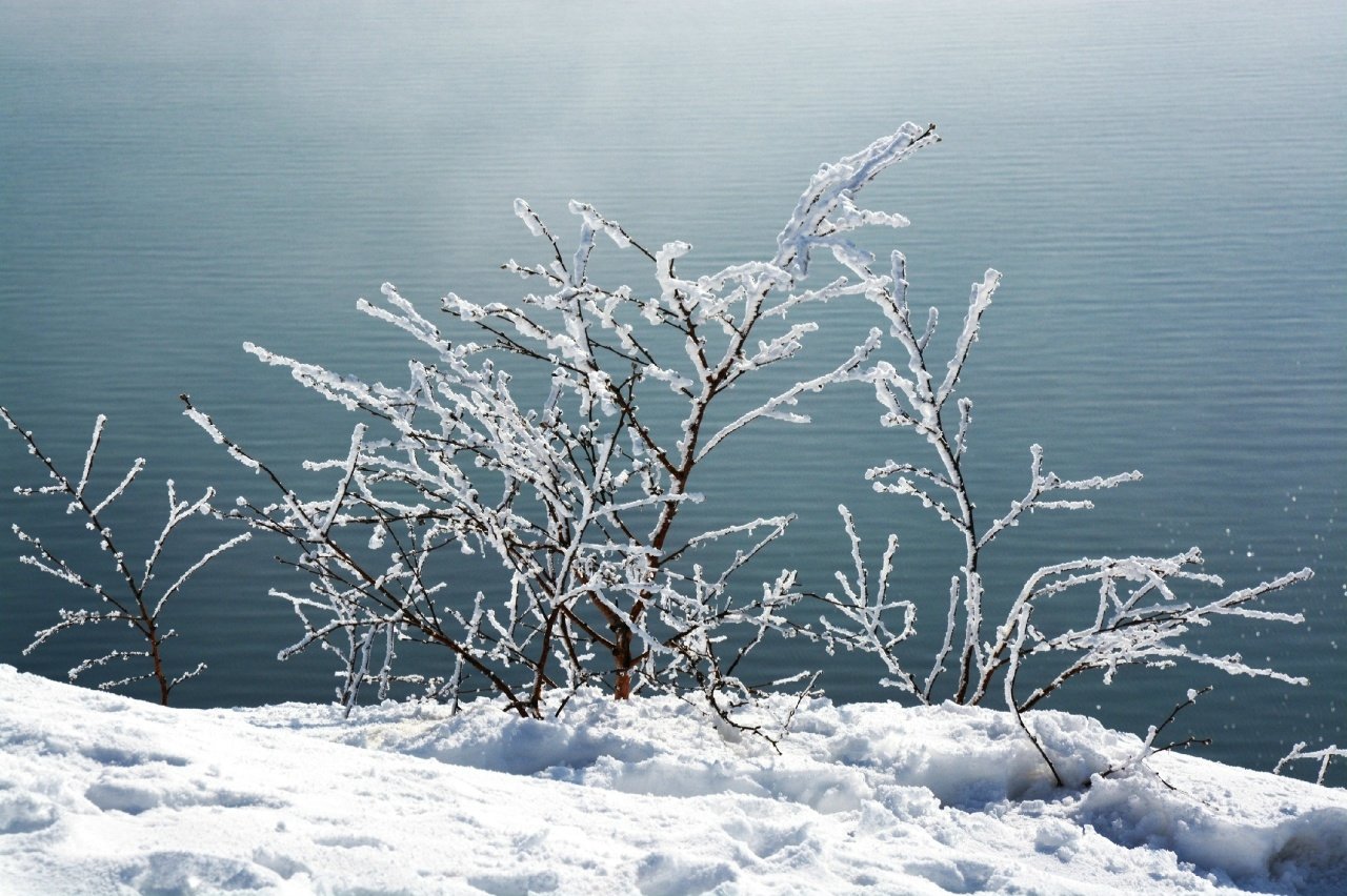Тематическое фото Людмила Шубина