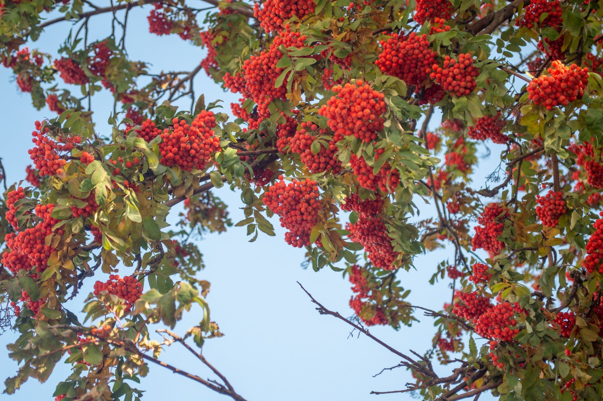 весна Евгений Овдеенко, ИА OmskMedia