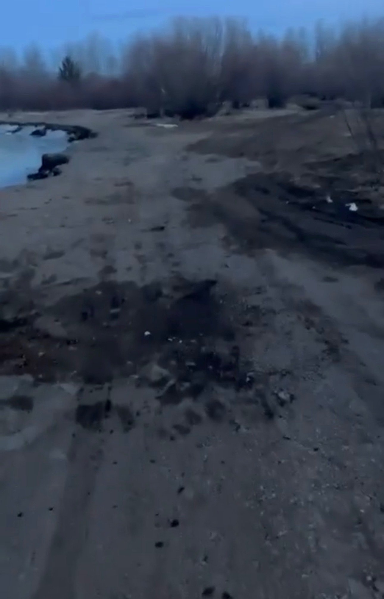 Свалка скриншот из видео Минприроды Забайкалья