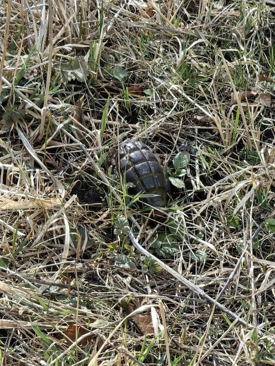 Гранату нашли в районе Олимпийского комплекса в Кисловодске Соцсети Е. Моисеева