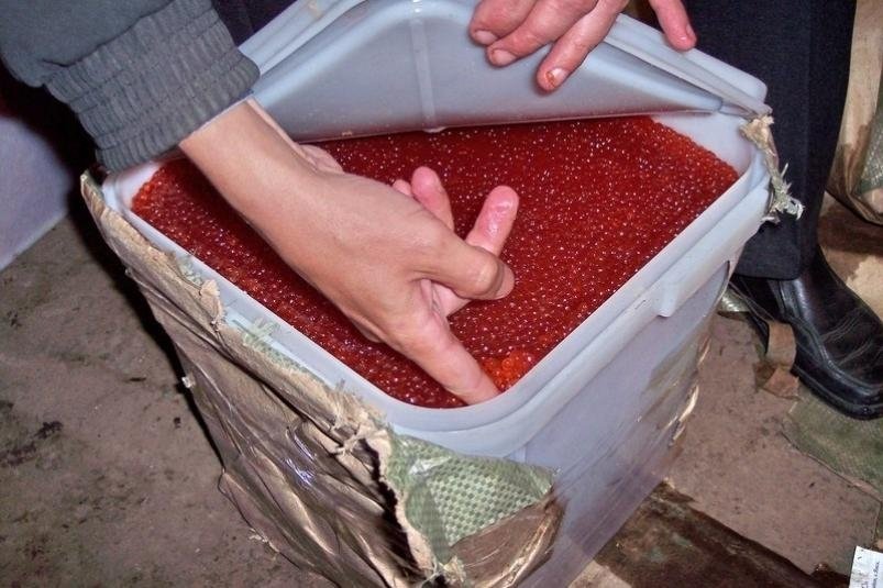 Тематическое фото 