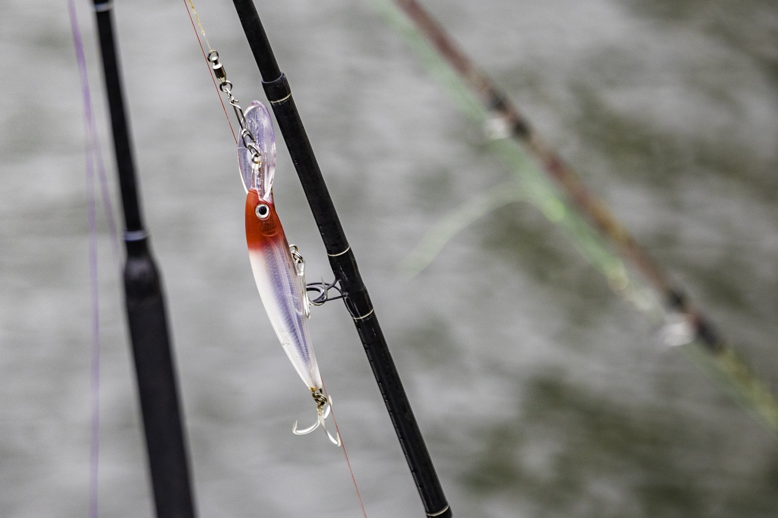 Рыбакам Ставрополья напомнили о продлении запрета на ловлю воблы и плотвы Дмитрий Осипчук, ИА PrimaMedia.ru