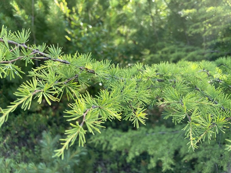Тематическое фото УМВД России по Магаданской области