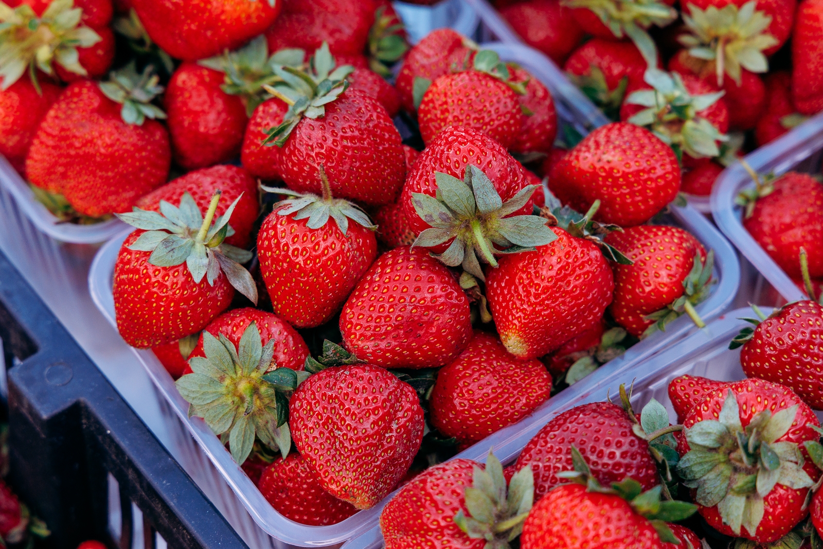 ягода Евгений  Кулешов, ИА PrimaMedia