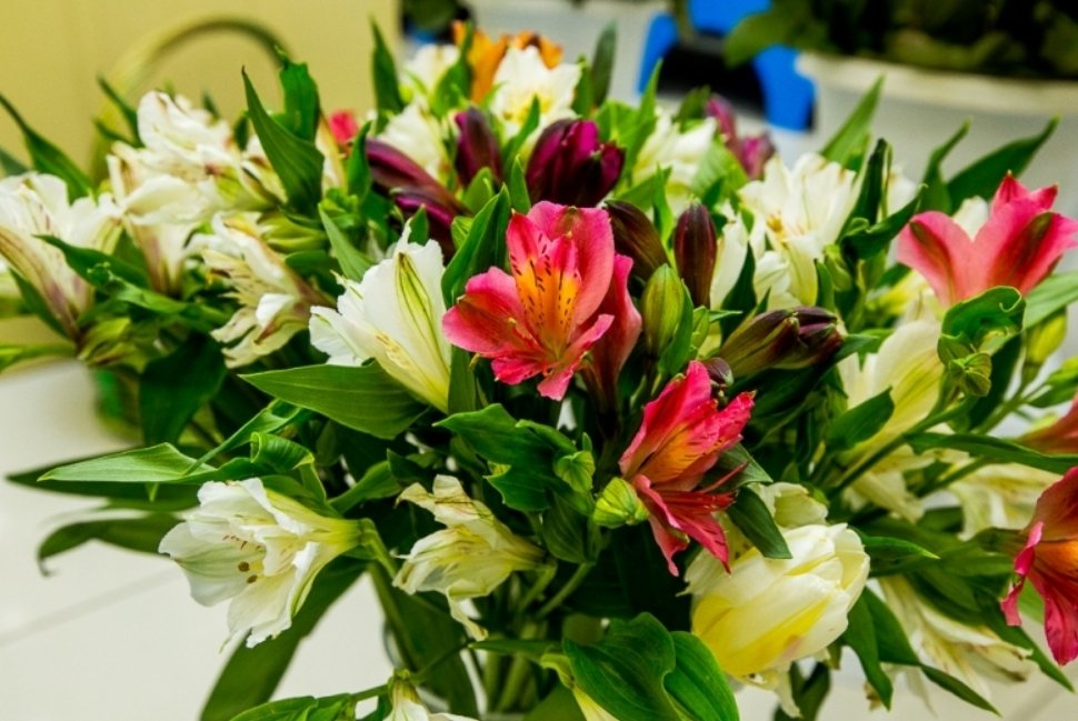 Тематическое фото ИА EAOMedia