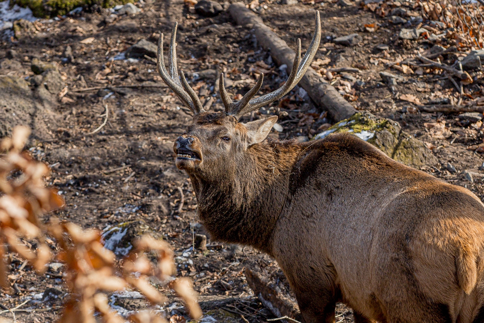 Тематическое фото Мария Смитюк, ИА PrimaMedia