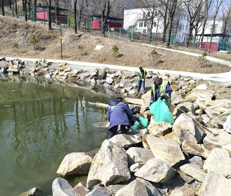 Специалисты приступили к уборке &quotчерепашьего озера&quot на Сафонова во Владивостоке Телеграм-канал &quotОбратная Связь МЦУ Владивостока&quot (18+)