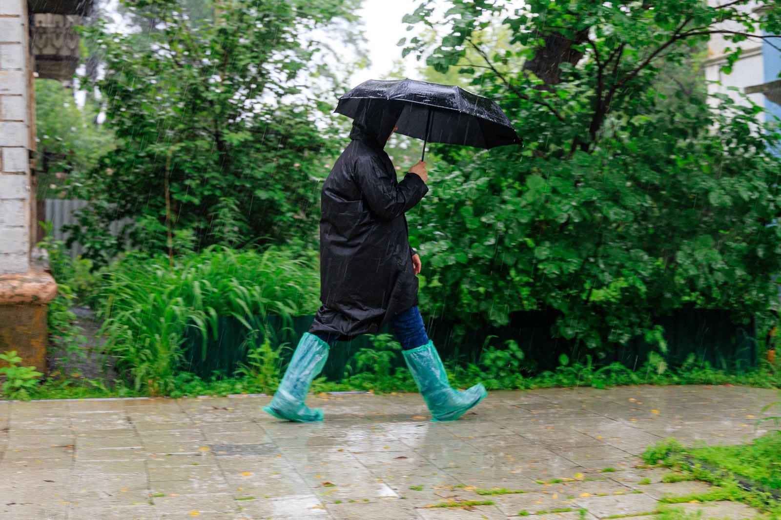 На Ставрополье ввели режим повышенной готовности из-за ливней с грозой и градом Евгений  Кулешов, ИА PrimaMedia.ru