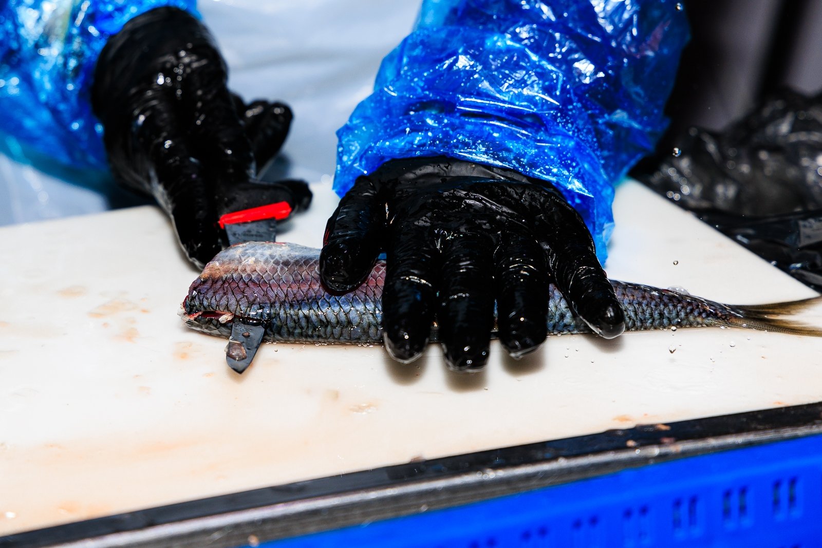 Тематическое фото Евгений  Кулешов, ИА PrimaMedia.ru