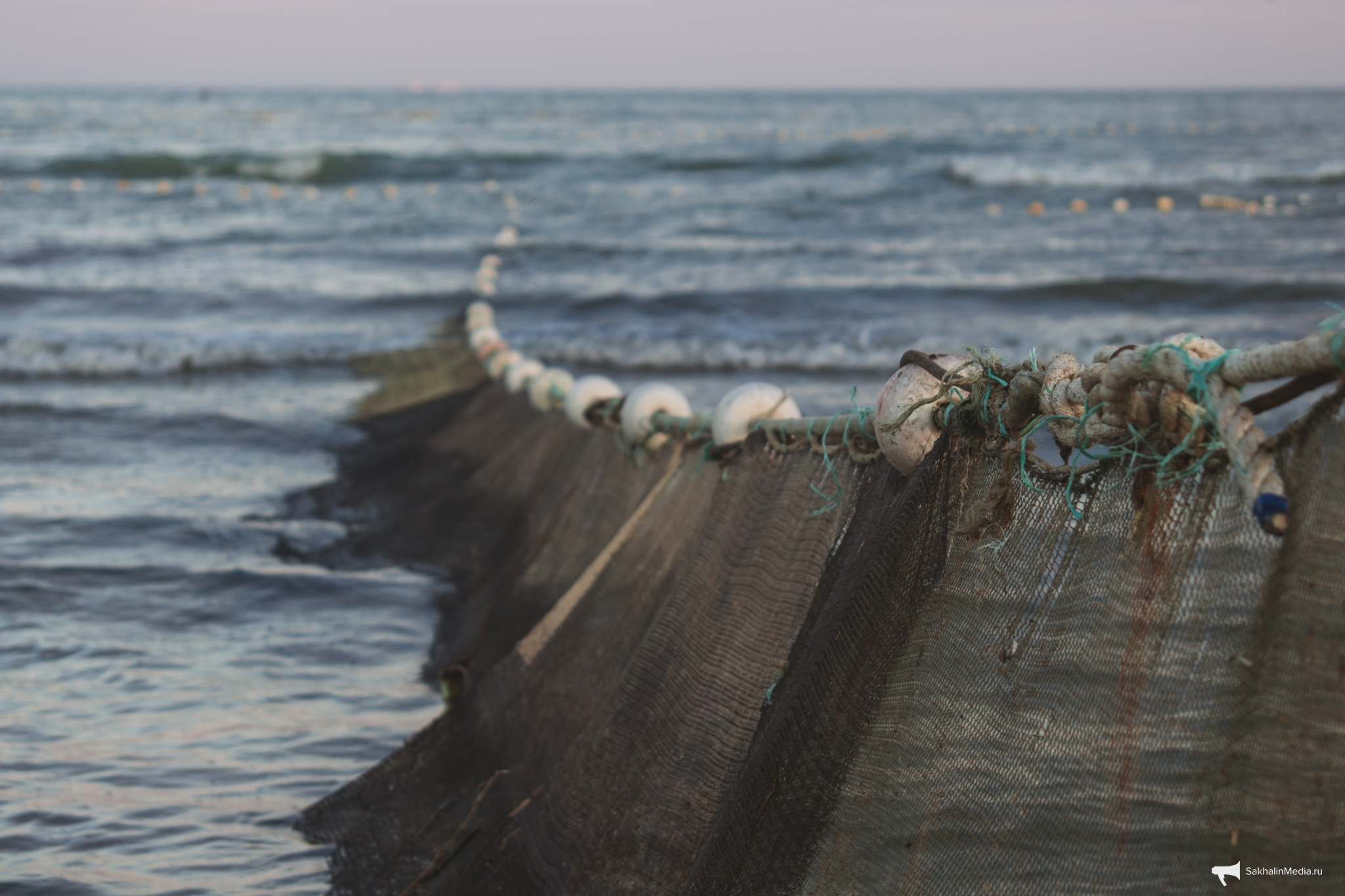 Тематическое фото Владислав Беляцкий, ИА SakhalinMedia