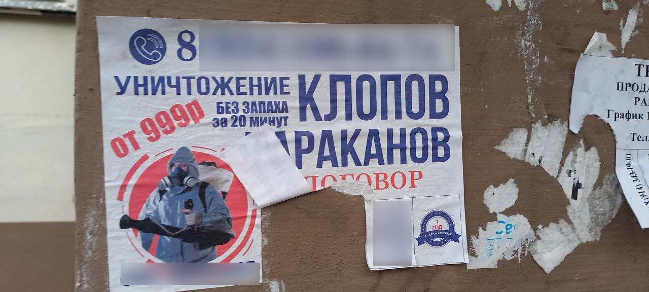 Объявления ИА PrimaMedia