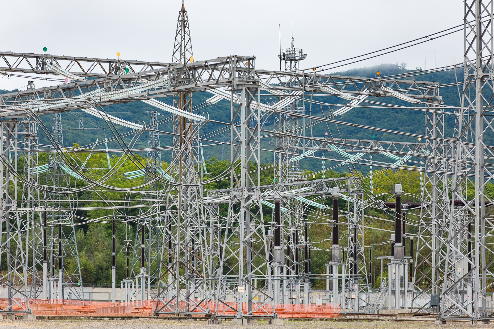 Тематическое фото ИА PrimaMedia