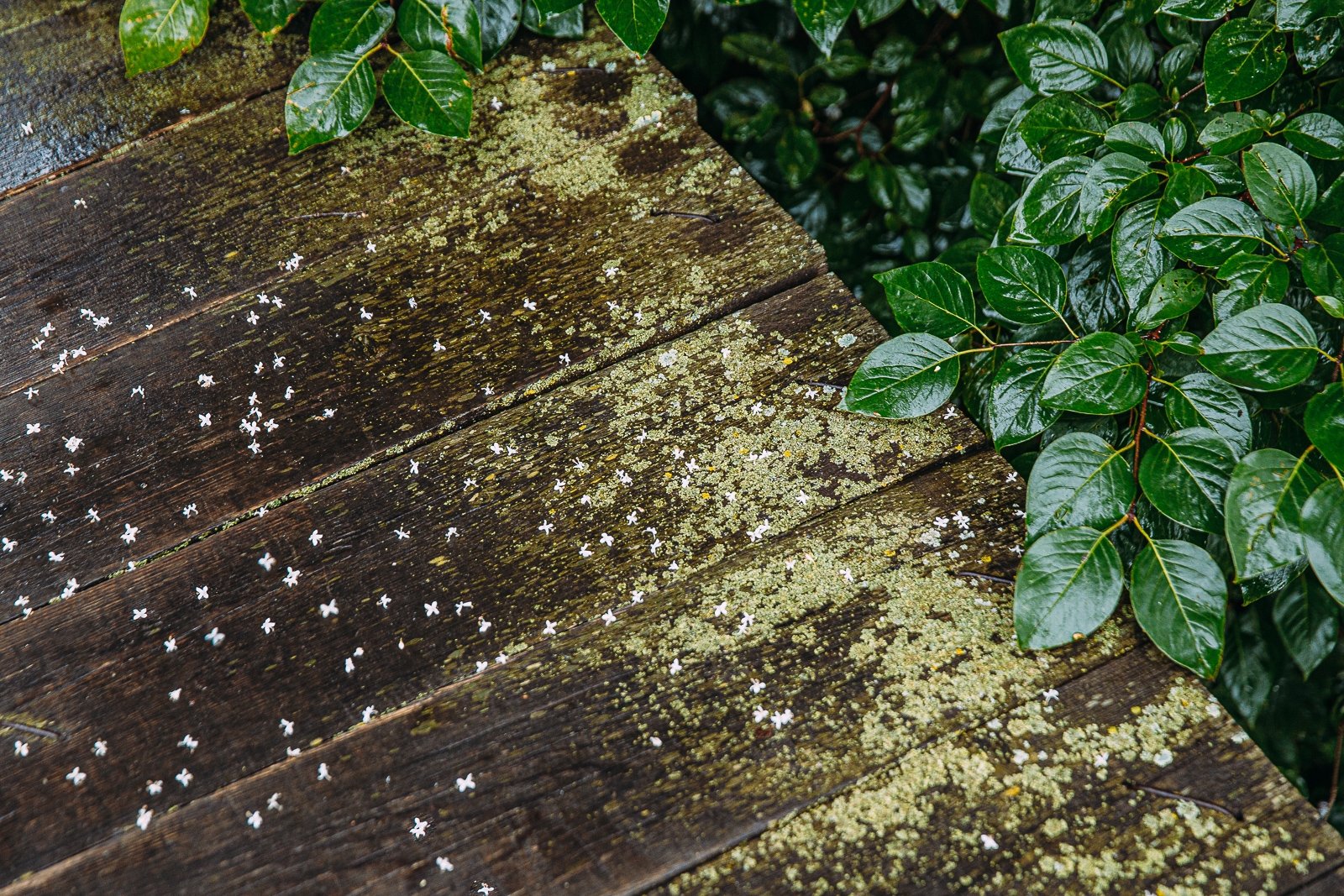 Тематическое фото ИА PrimaMedia