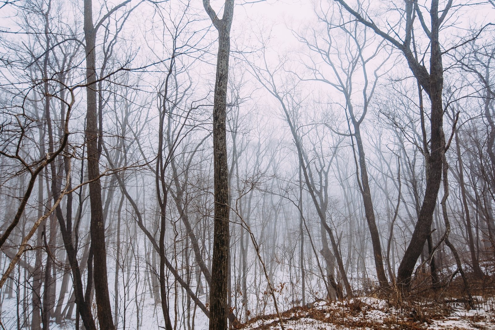 Тематическое фото ИА PrimaMedia