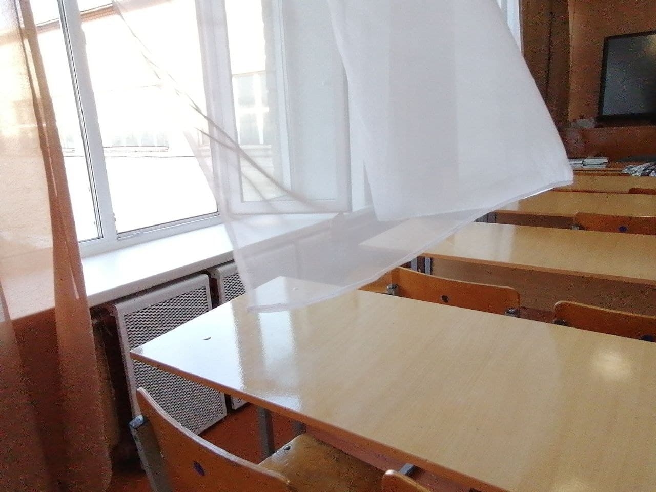 От розеток до теплиц: ученики Ставрополья смогут выбирать, как обустроить школы Абрамченко Анета