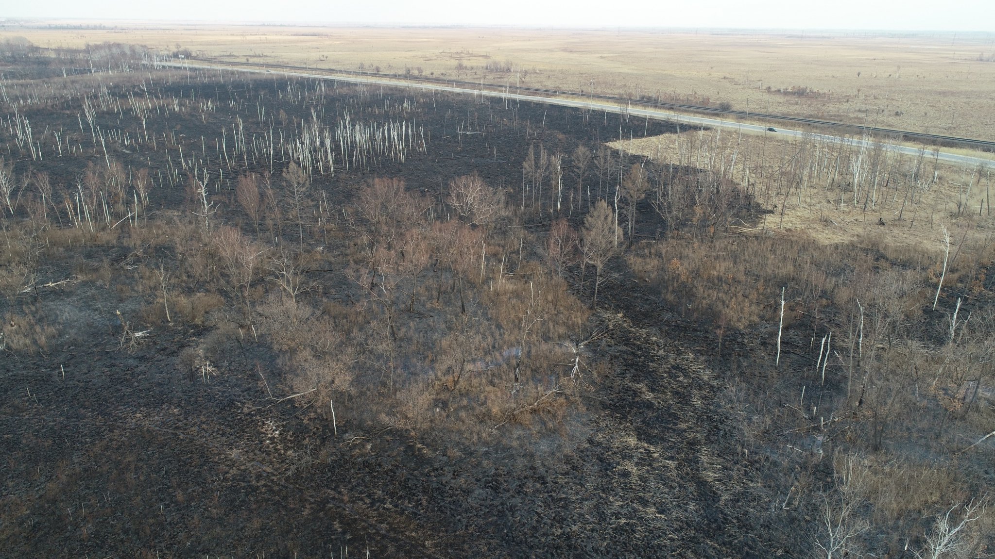 Тематическое фото правительство ЕАО
