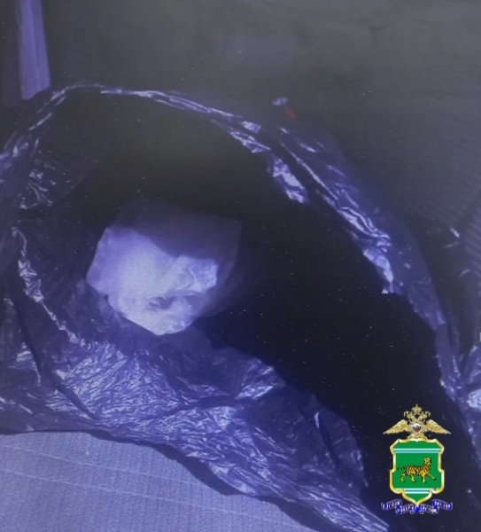 Тематическое фото пресс-служба УМВД ЕАО