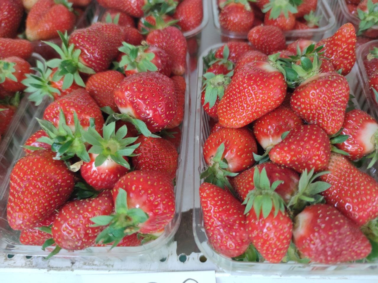 Тематическое фото ИА Stavropol.Media