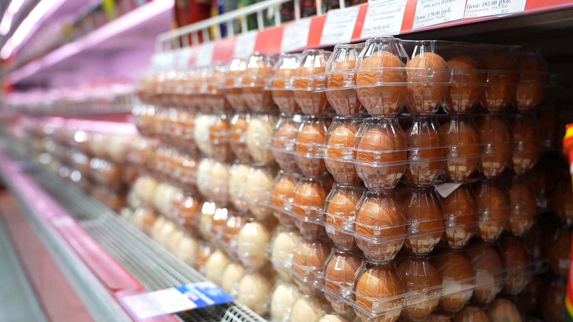 Фото Правительство Камчатского края