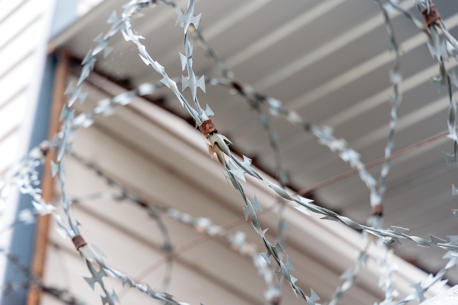 Осуждённый в колонии на Ставрополье вступил в террористическую организацию Евгений Кулешов, ИА PrimaMedia