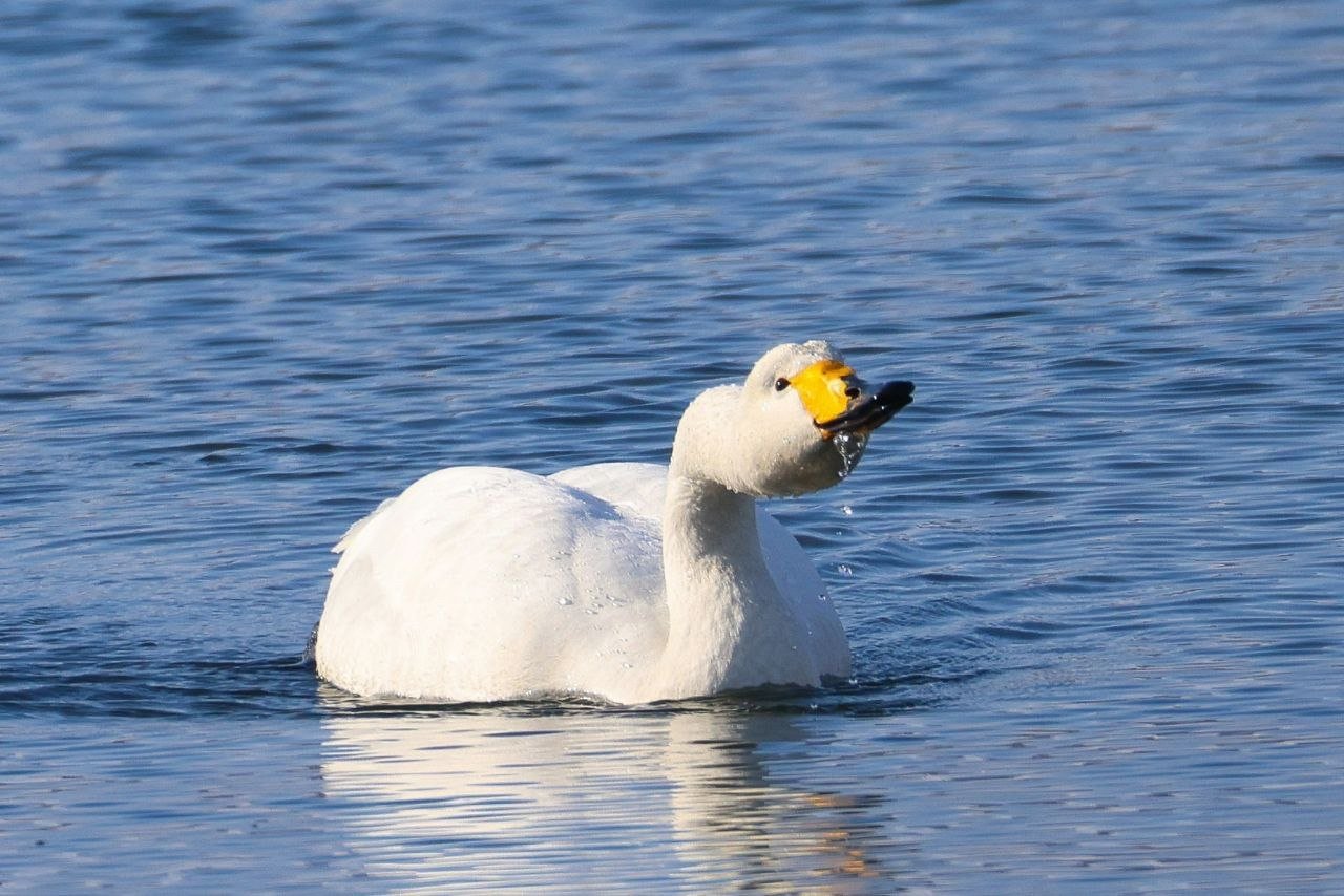Погода Юлия Егорова
