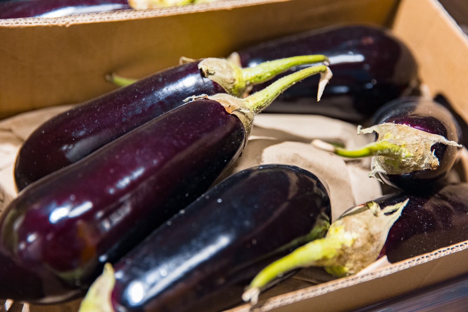 Эксперт объяснил, как иранский кризис связан с ценами на овощи в России Илья Аверьянов, ИА PrimaMedia