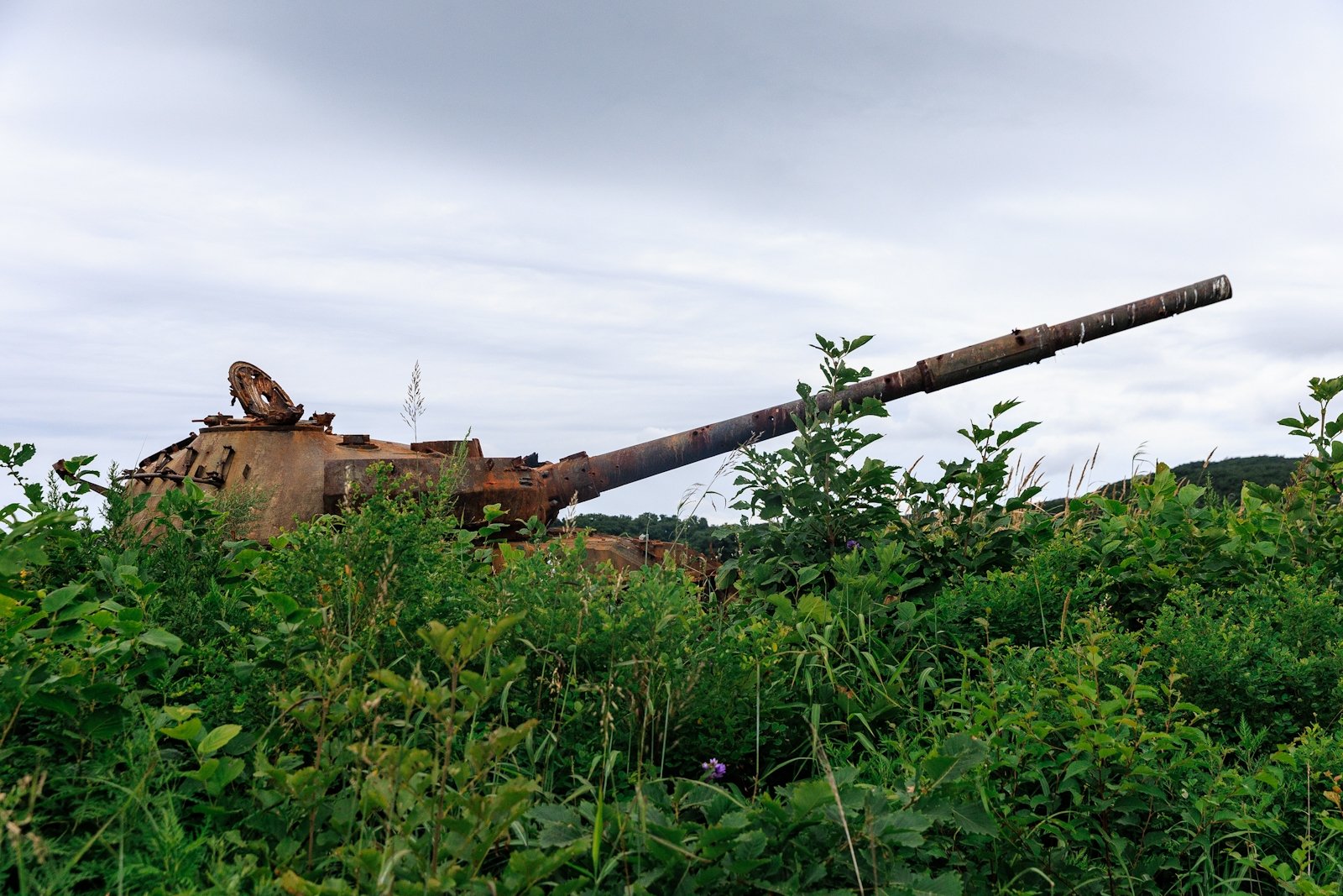Тематическое фото Евгений Кулешов, ИА PrimaMedia.ru