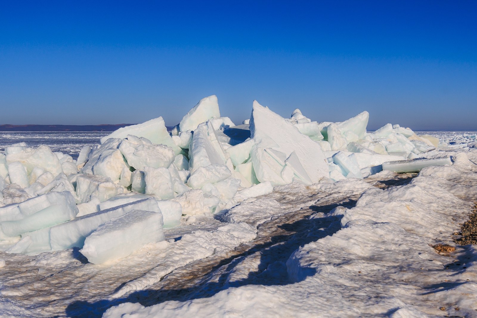 Тематическое фото Евгений  Кулешов, ИА PrimaMedia.ru