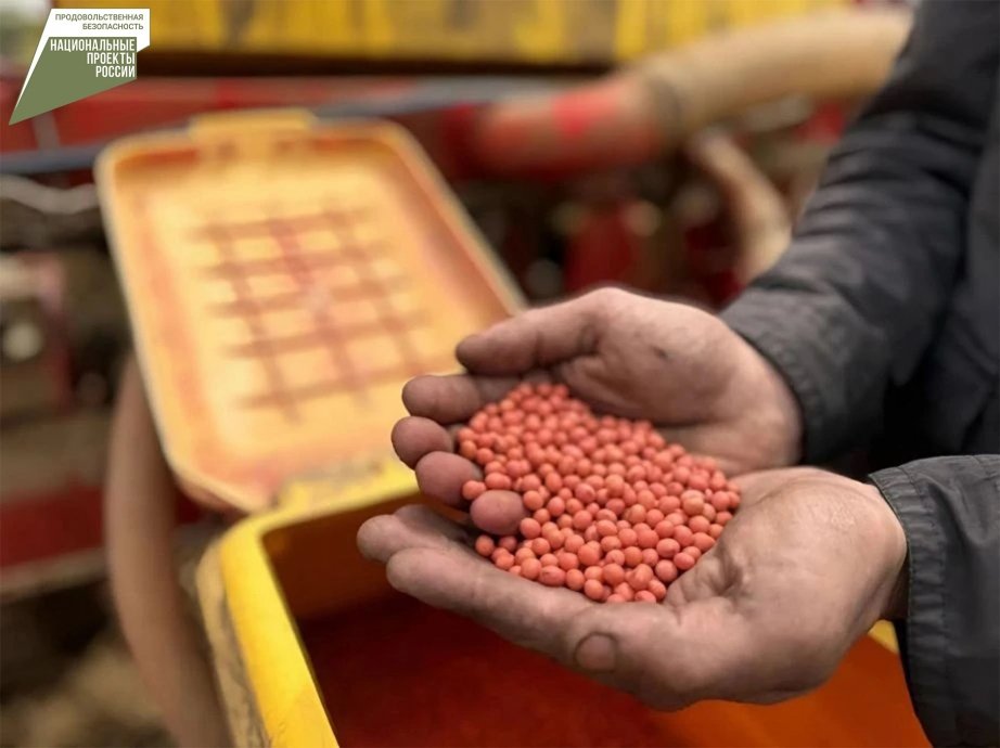 Новый проект по господдержке селекции сельхозкультур стартовал в Хабаровском крае Пресс-служба министерства сельского хозяйства и продовольствия Хабаровского края