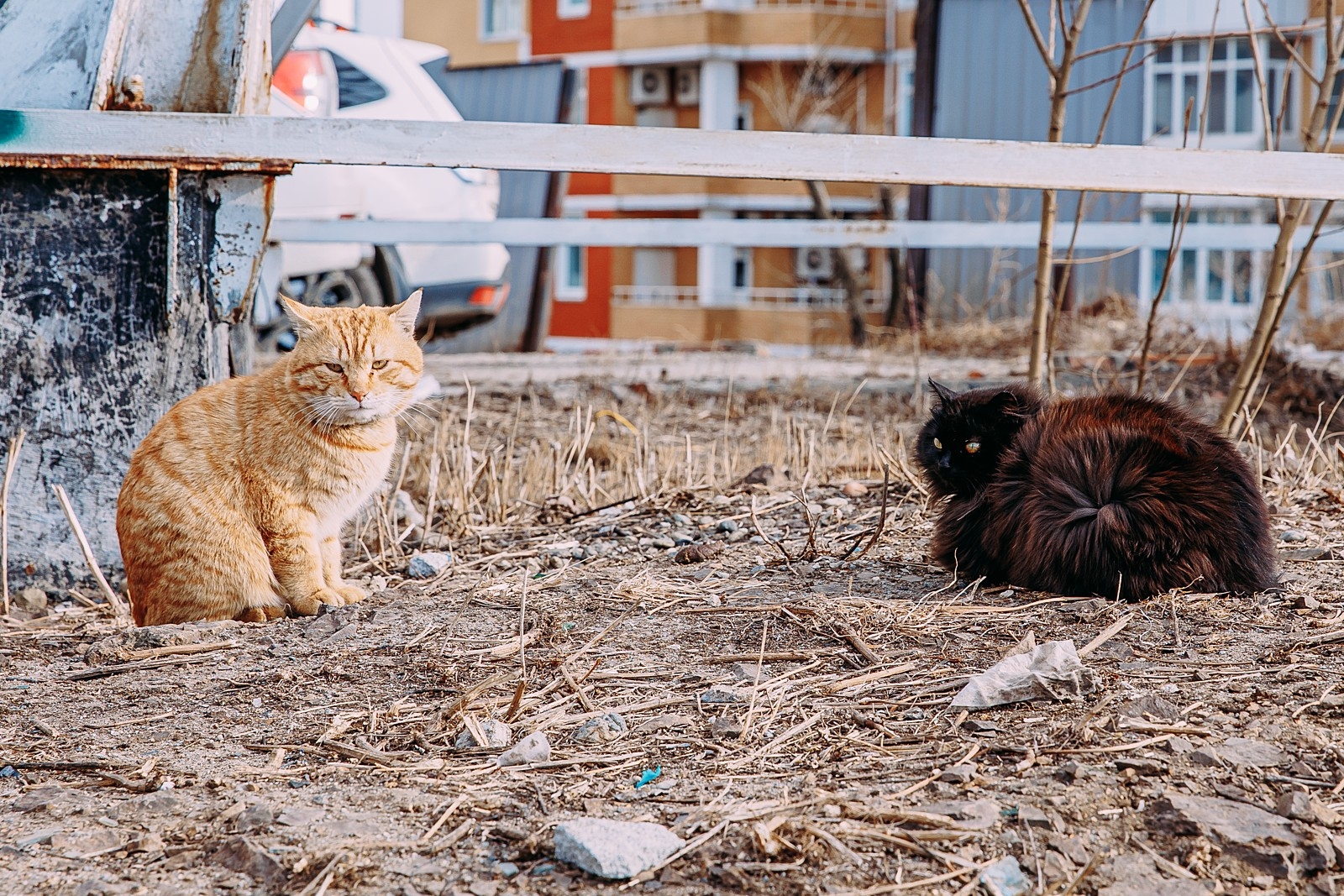 Тематическое фото ИА PrimaMedia