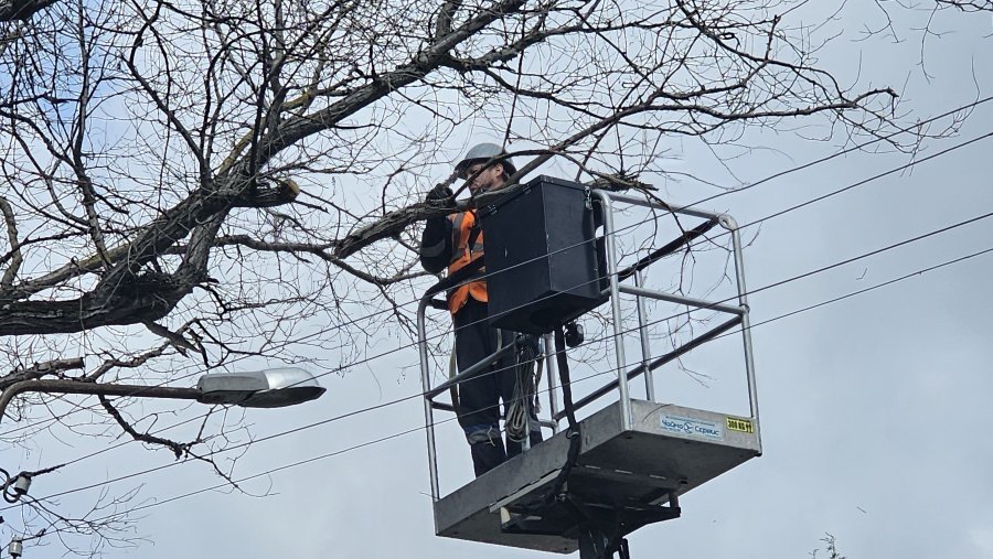 В Севастополе обрезают деревья Правительство Севастополя