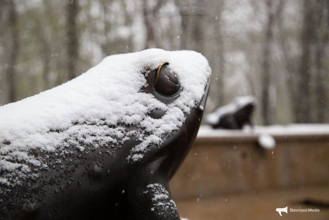 Дождь, снег, туман: все виды осадков прогнозируют для ставропольцев на Пасху ИА Stavropol.Media