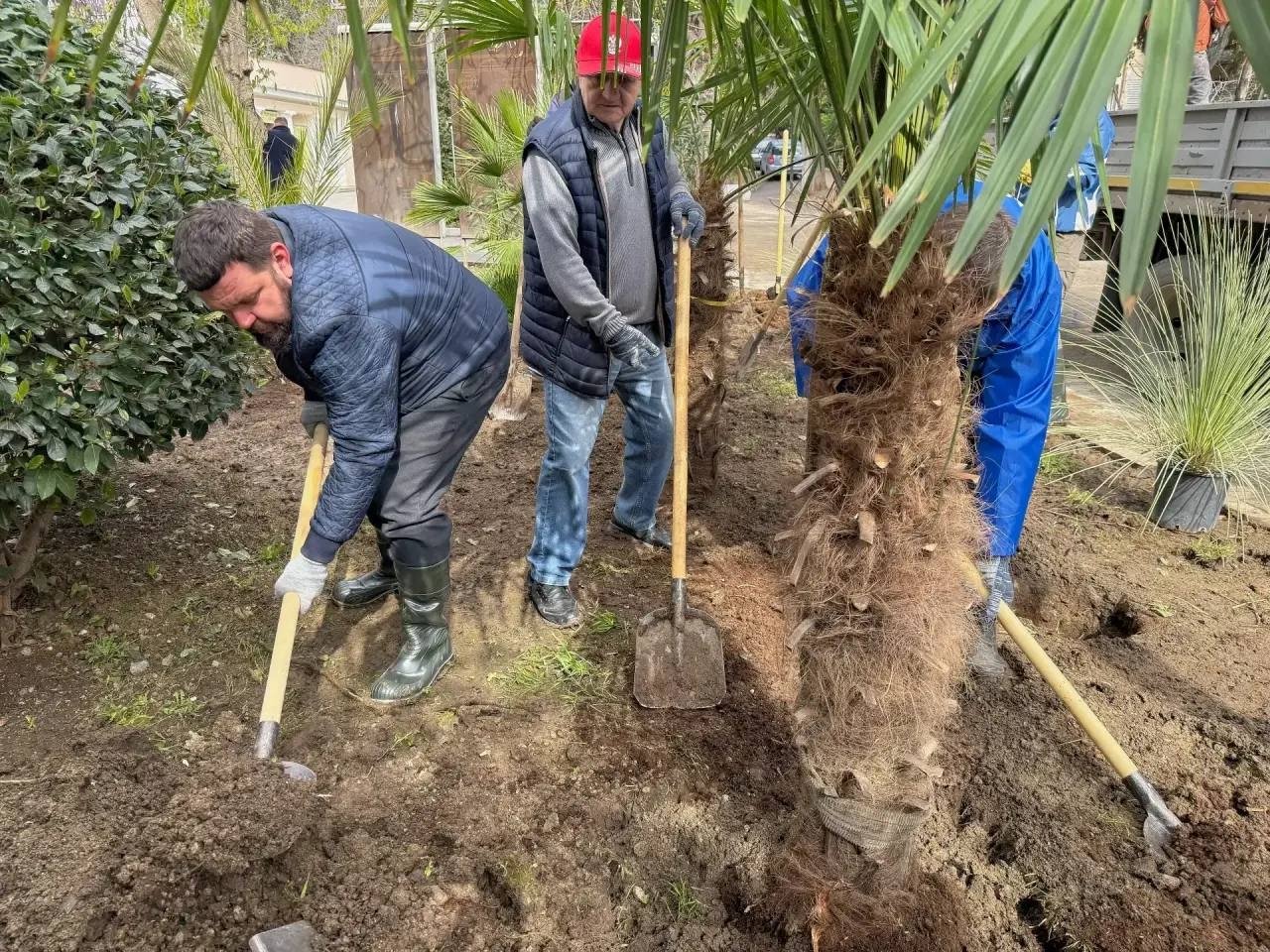 В Ялте создают розарий и не только Соцсети Сергея Олефиренко