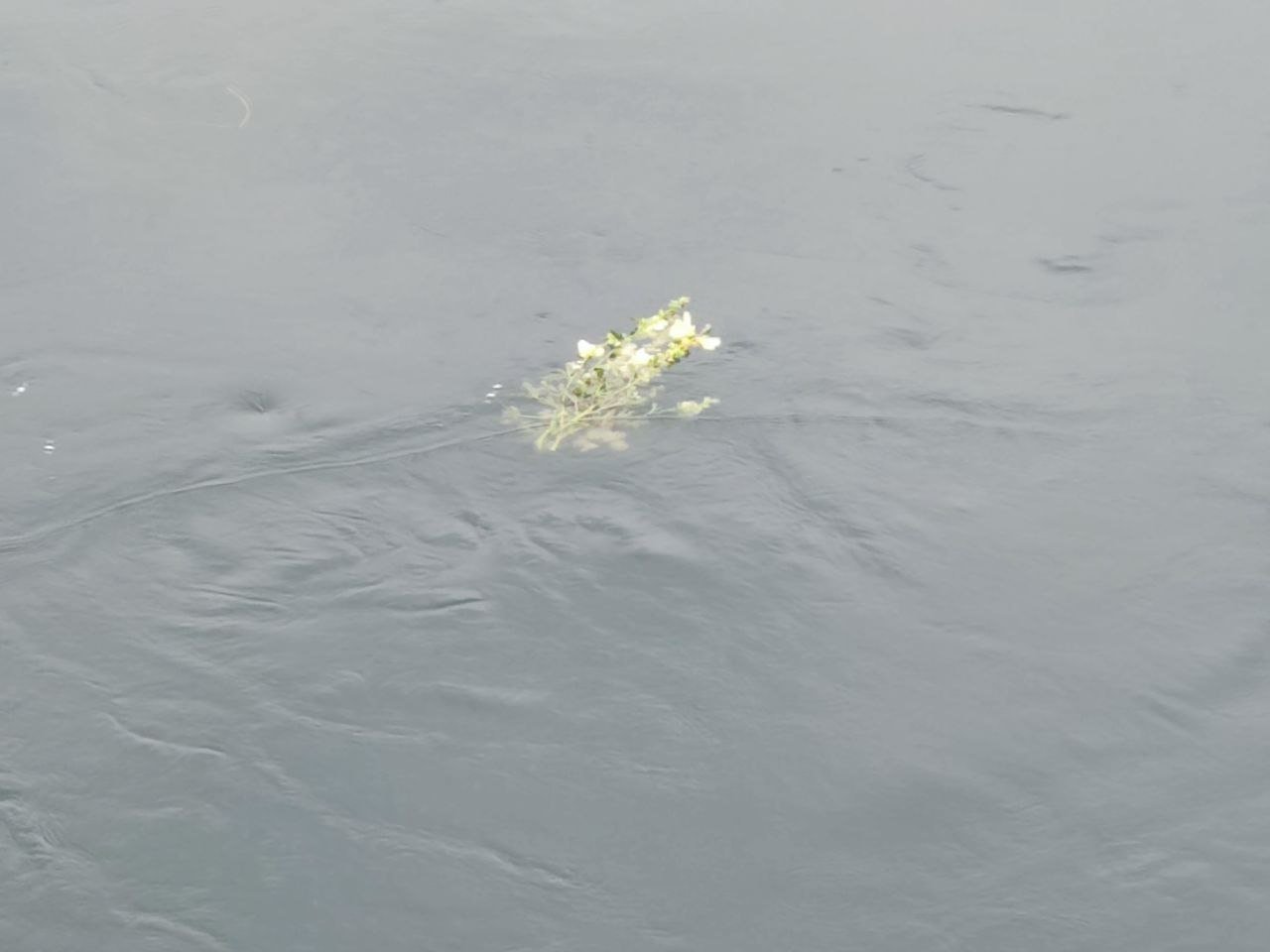 Тематическое фото ИА Stavropol.Media