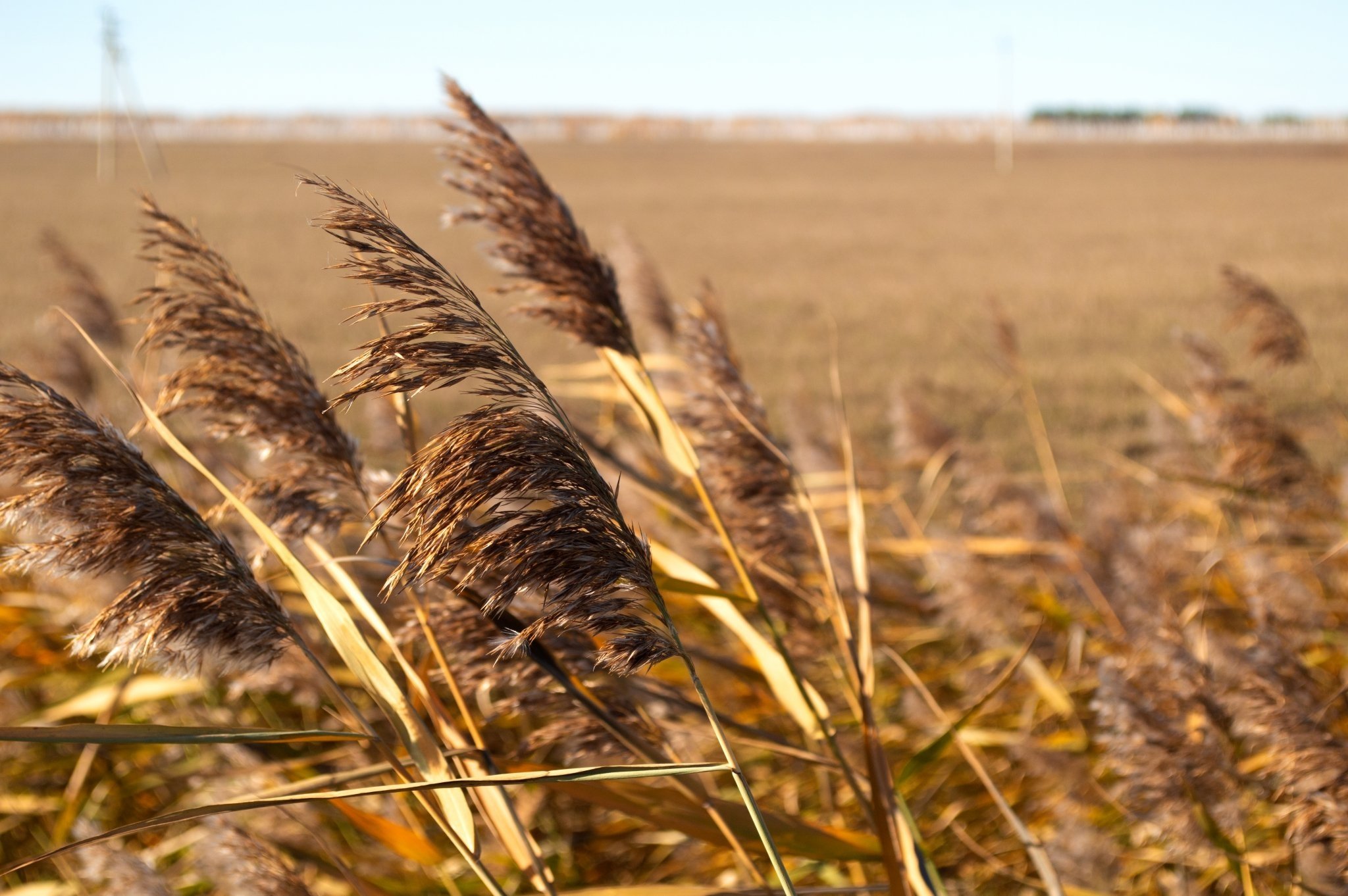 Тематическое фото ИА ЕАОМedia