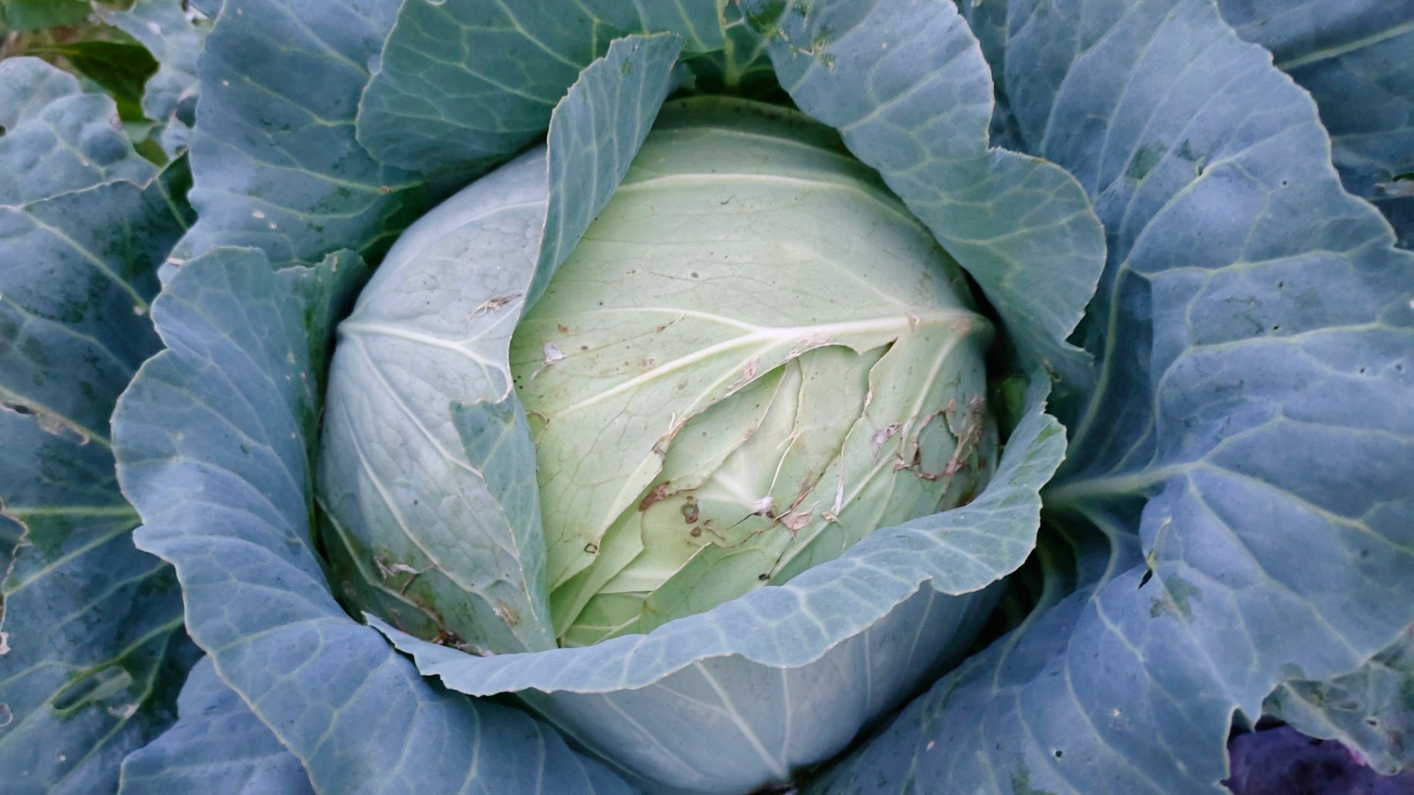 Тематическое фото Автора