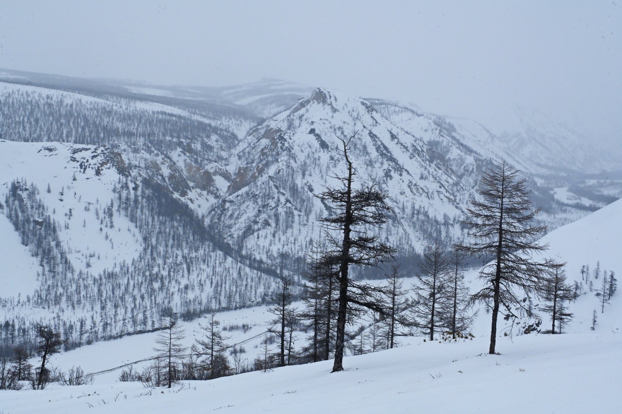 Тематическое фото Павел Жданов